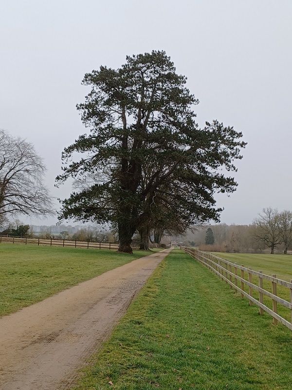 Heading west from Wonston to Weston Colley