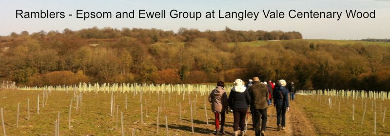 E&E Ramblers at Centenary Wood