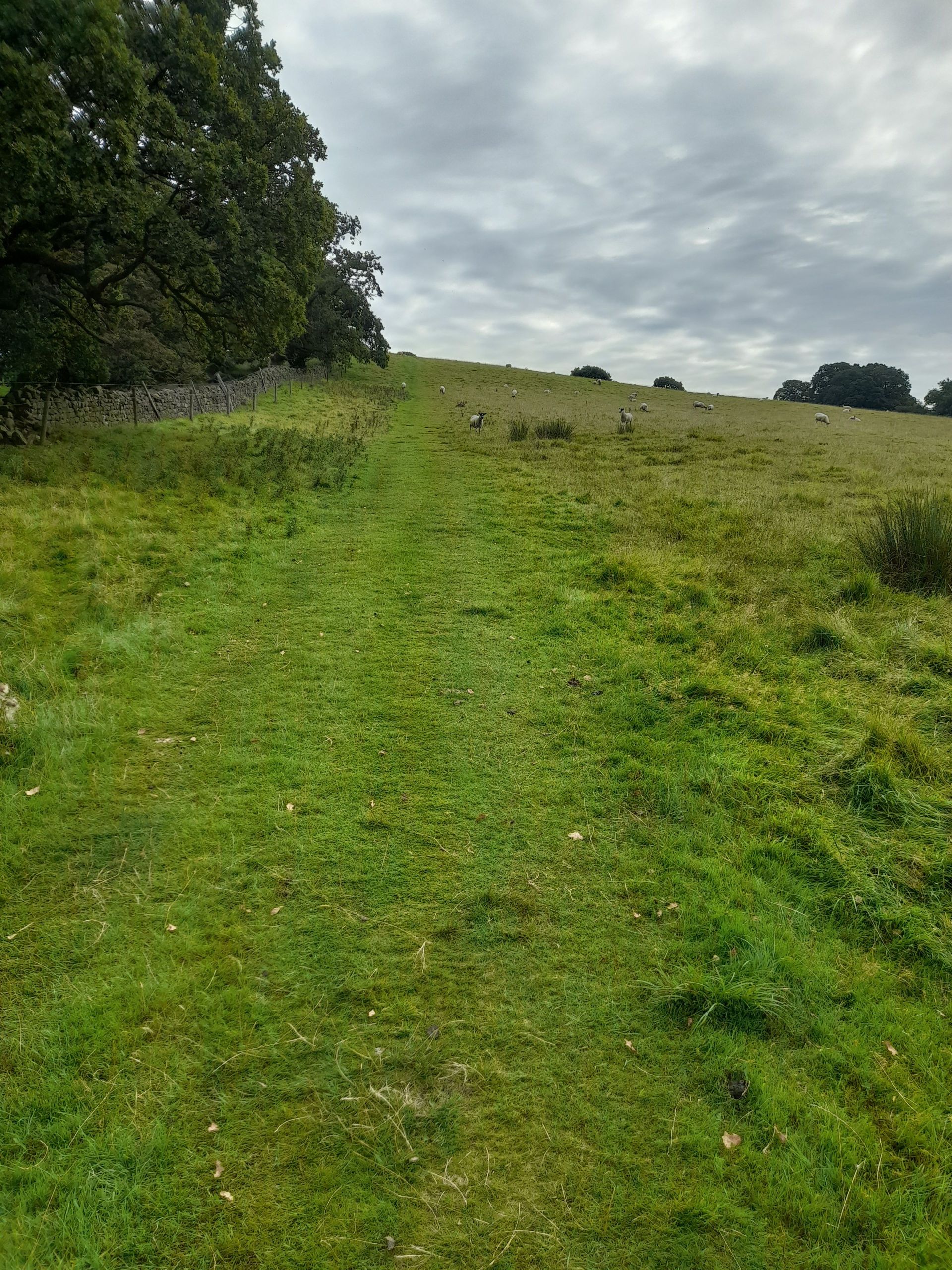 Part of the Hadrian's Wall path