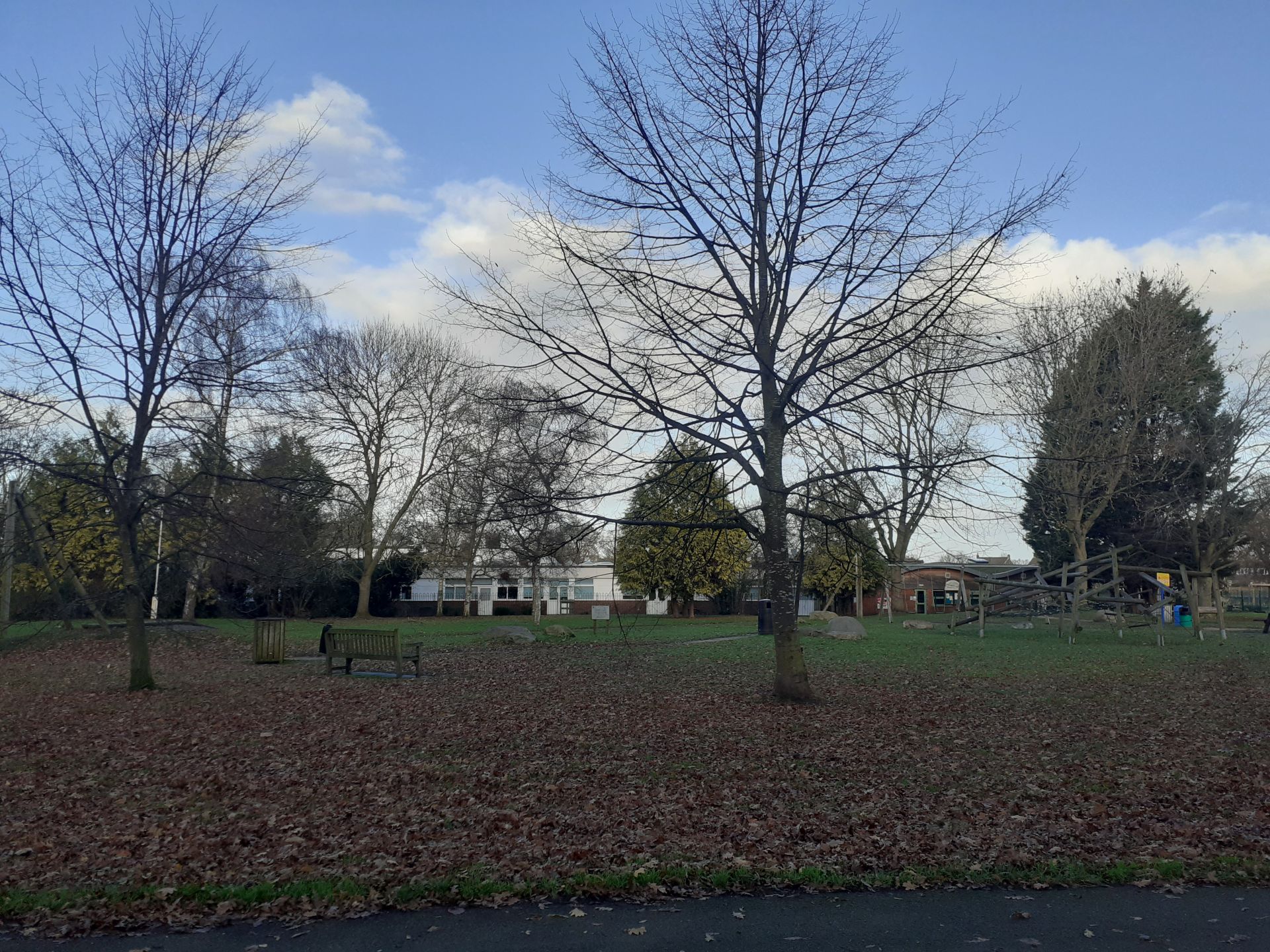 An urban park and greenspace with a bench in the foreground and a play area and school in the background