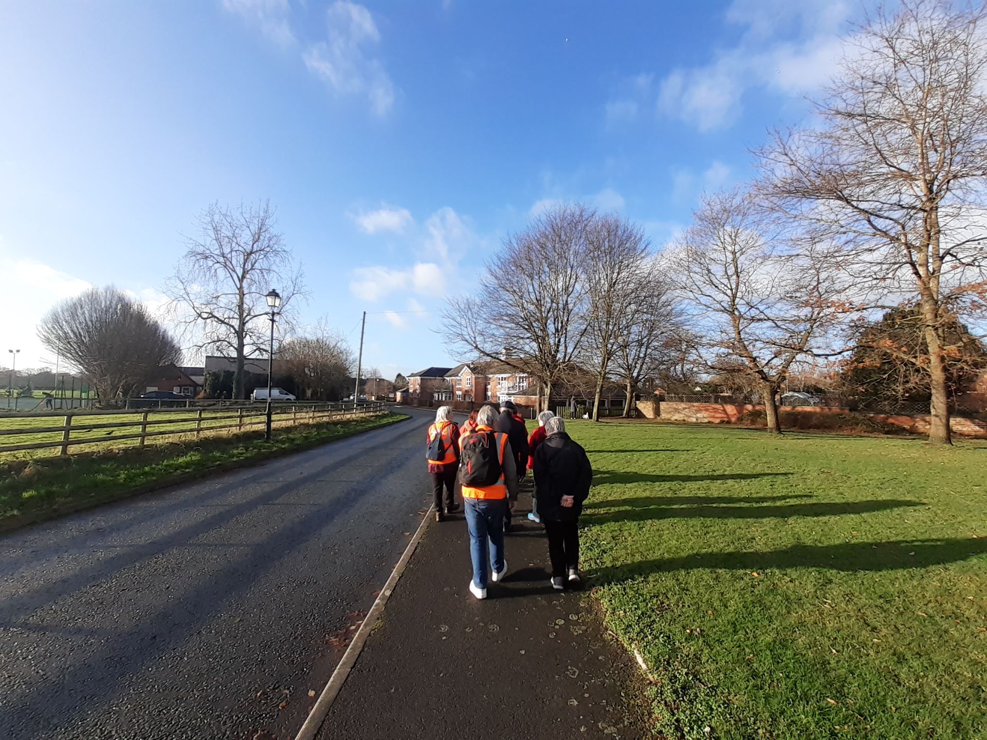 A group of people walking on a pavement next to some urban greenspace