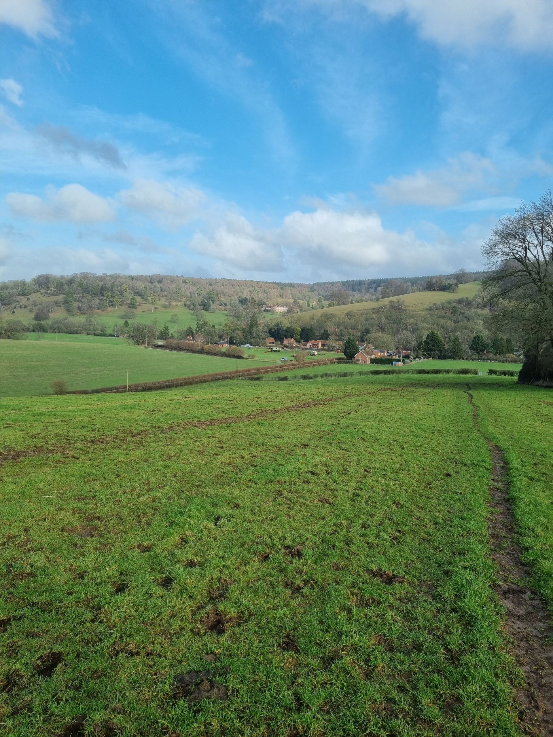 Distant view of Stonor House