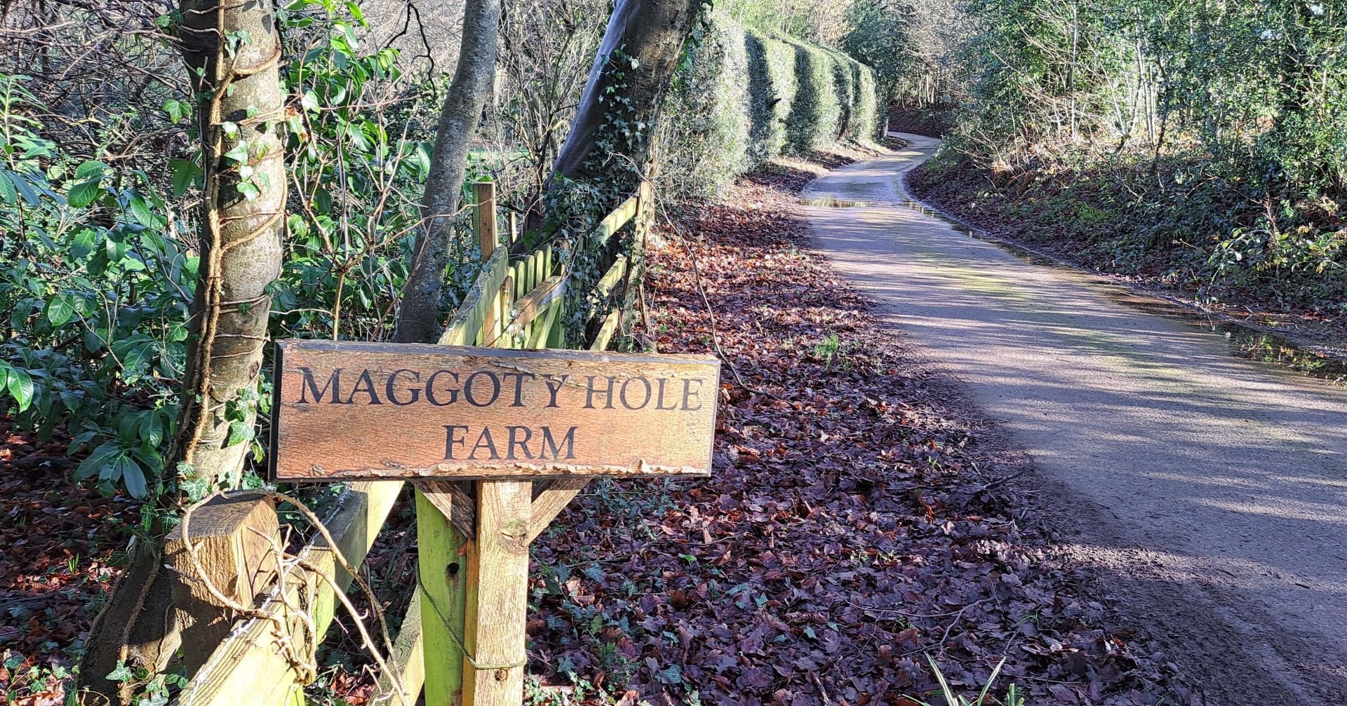 All the best places!