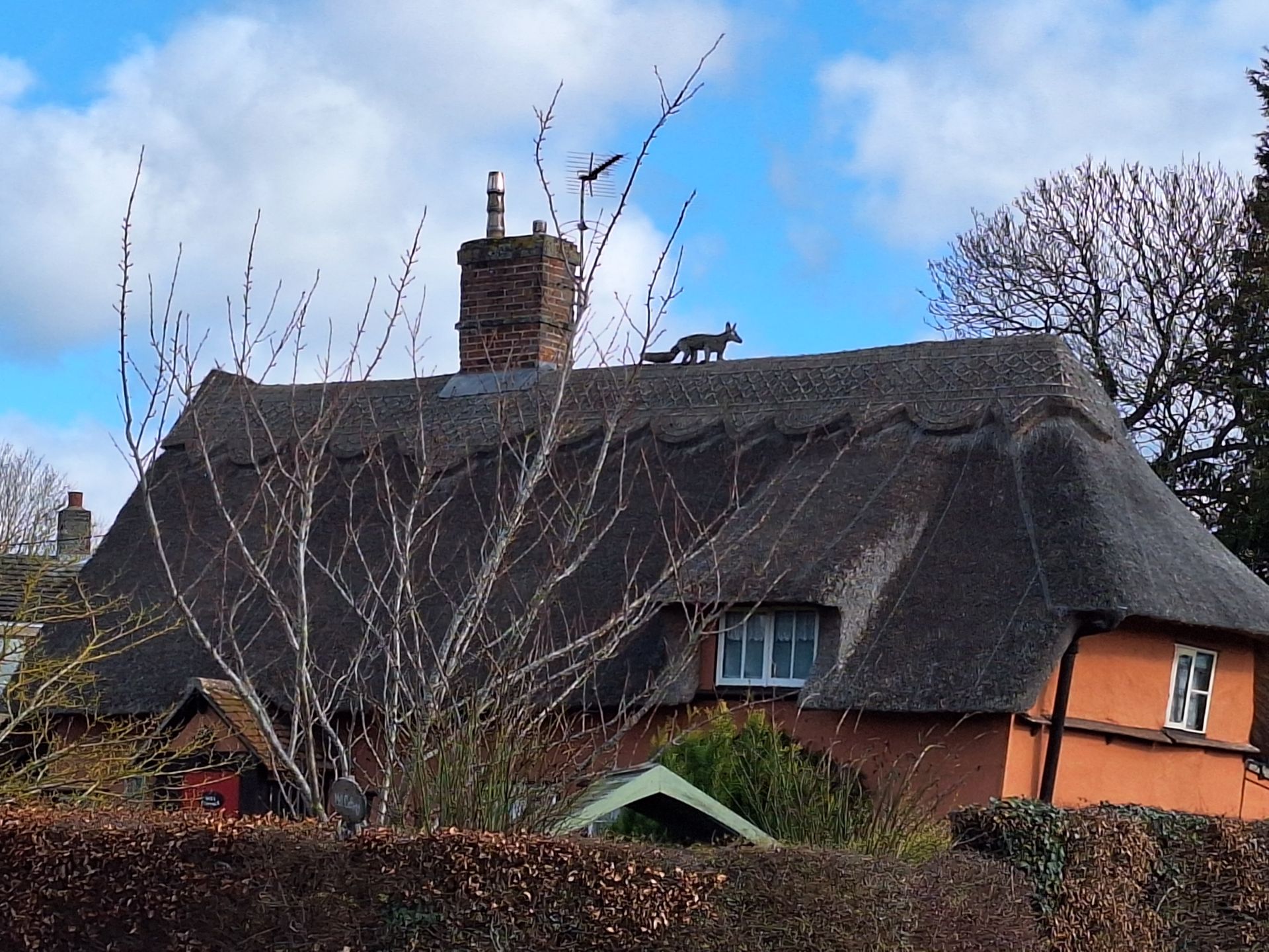 thatched cottage