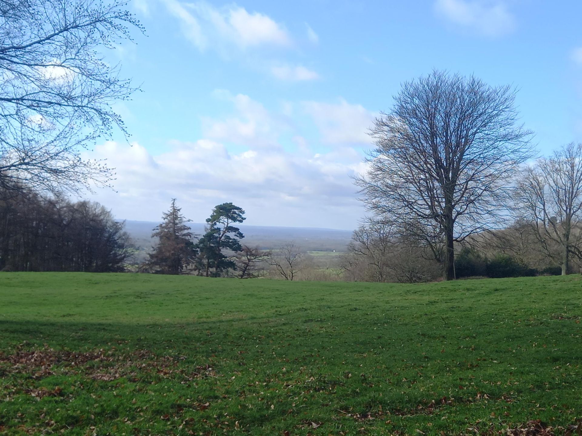 Towards Chiddingstone
