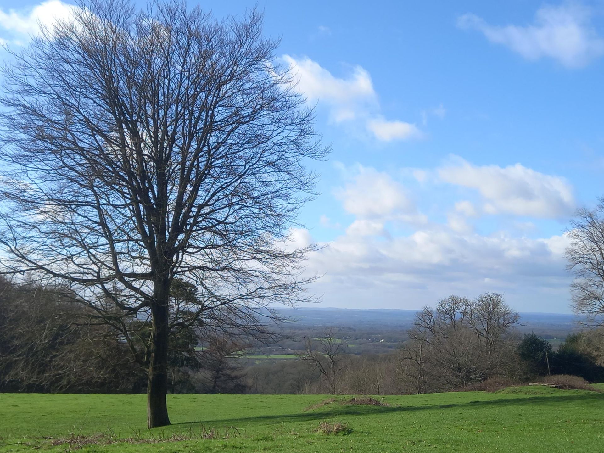 Montreal Forest Trail