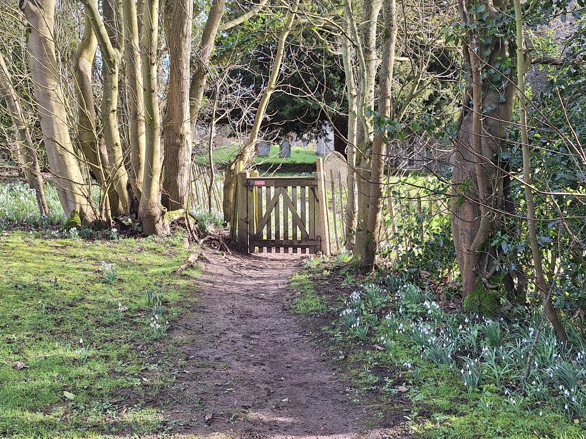 Churchyard gate with snowdrops