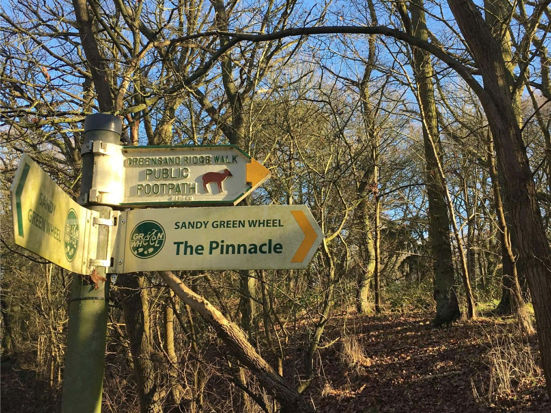 Greensand Ridge fingerpost in a woodland