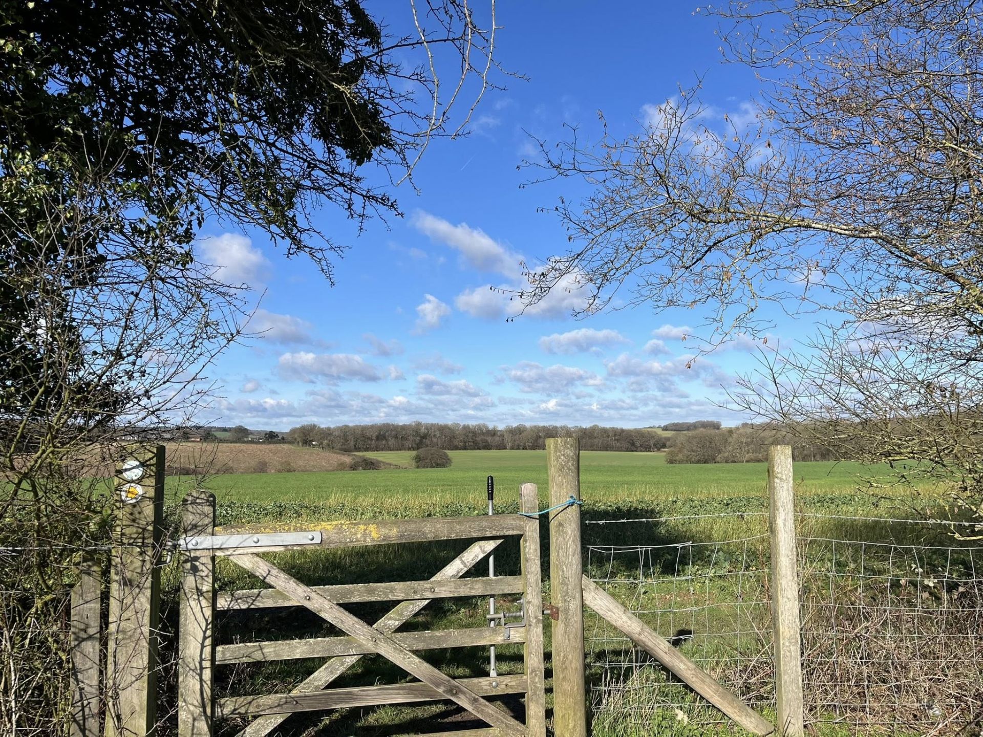 A view of farmland over a gate