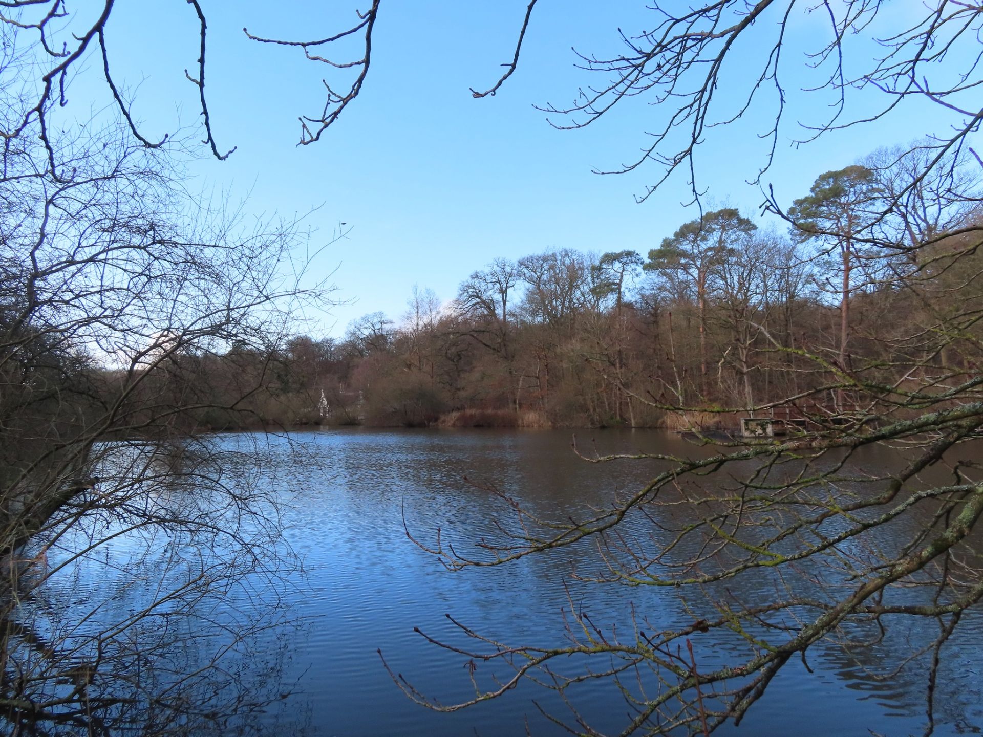 A lake and woodland