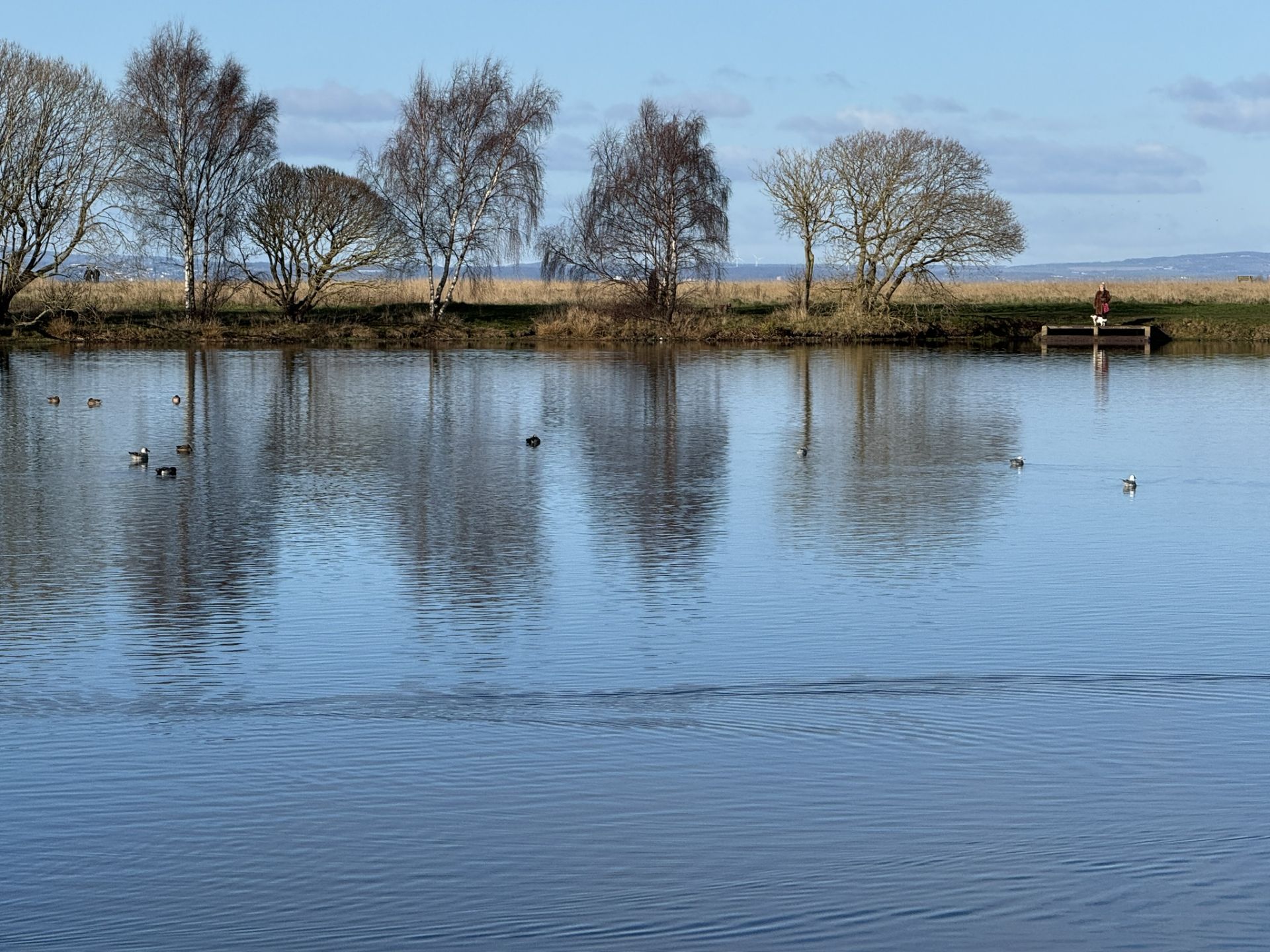 Levenhall Links Lochans