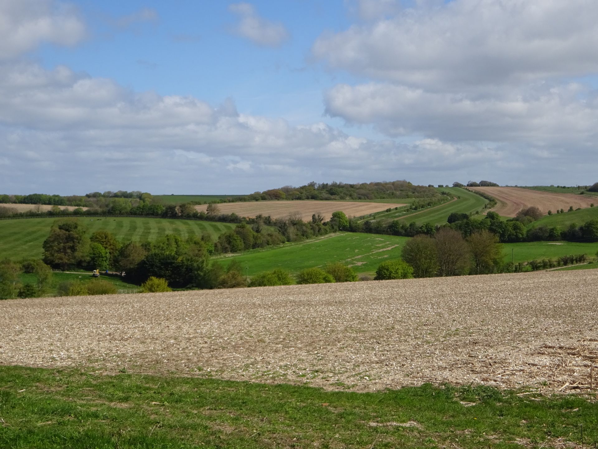 View across Hodcott Down