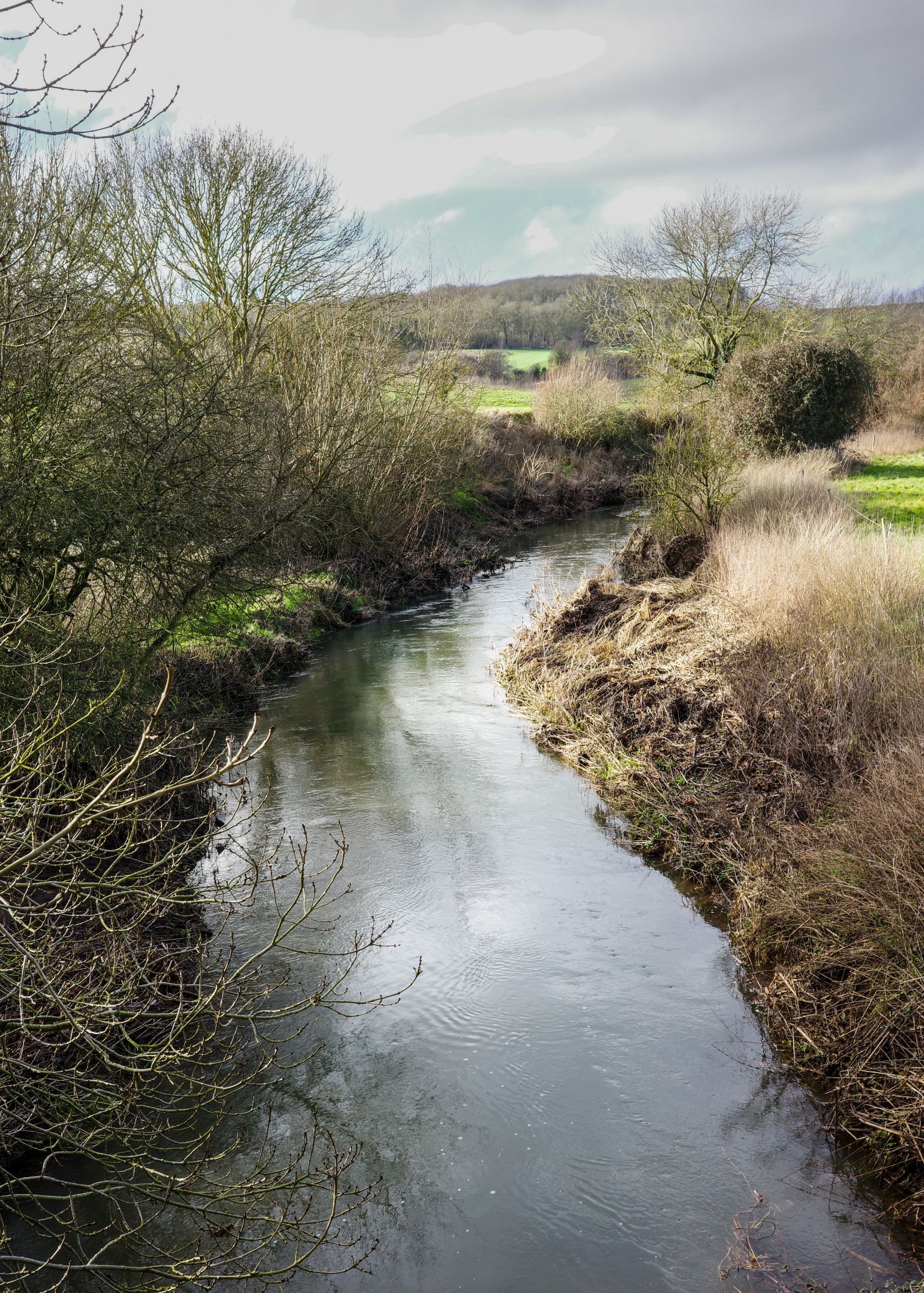 A view of the River Rib