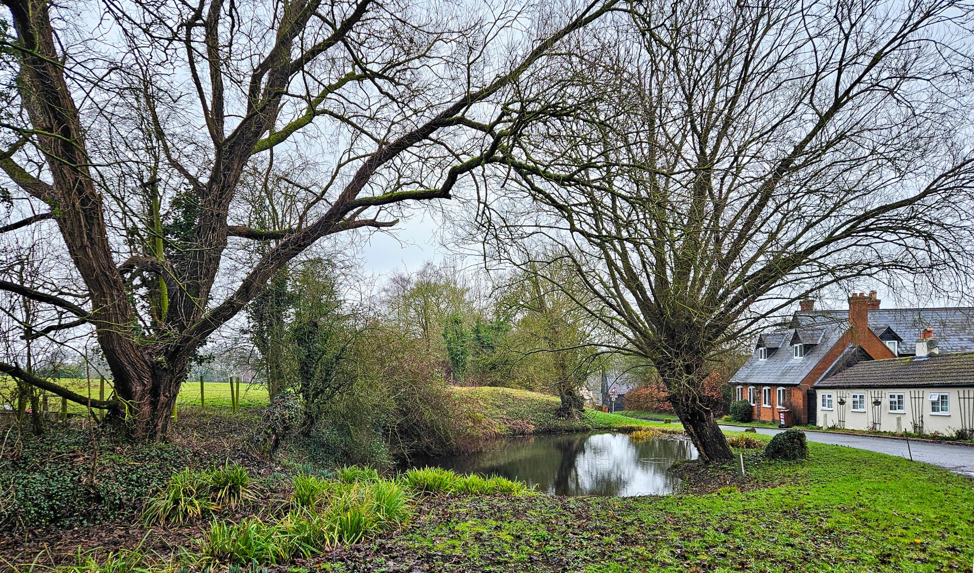 The pond at Wallington