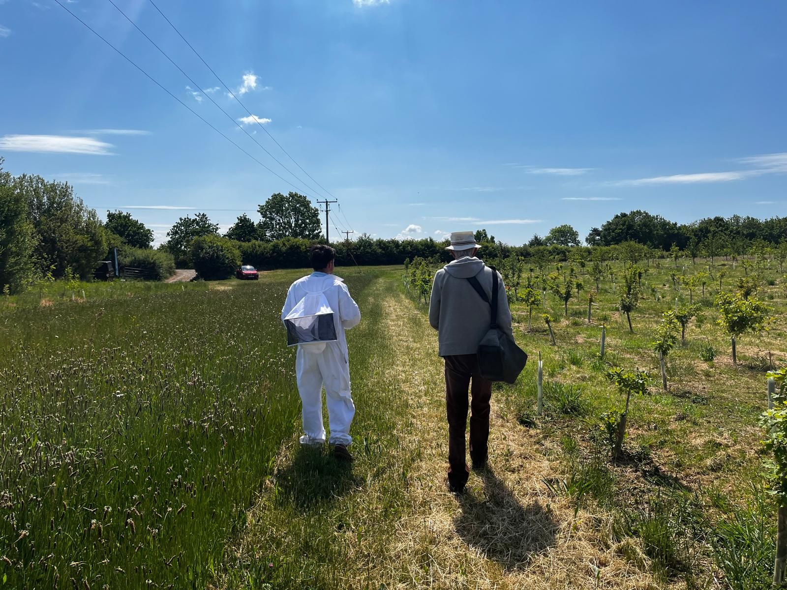 Two people walking along a track in a greenspace