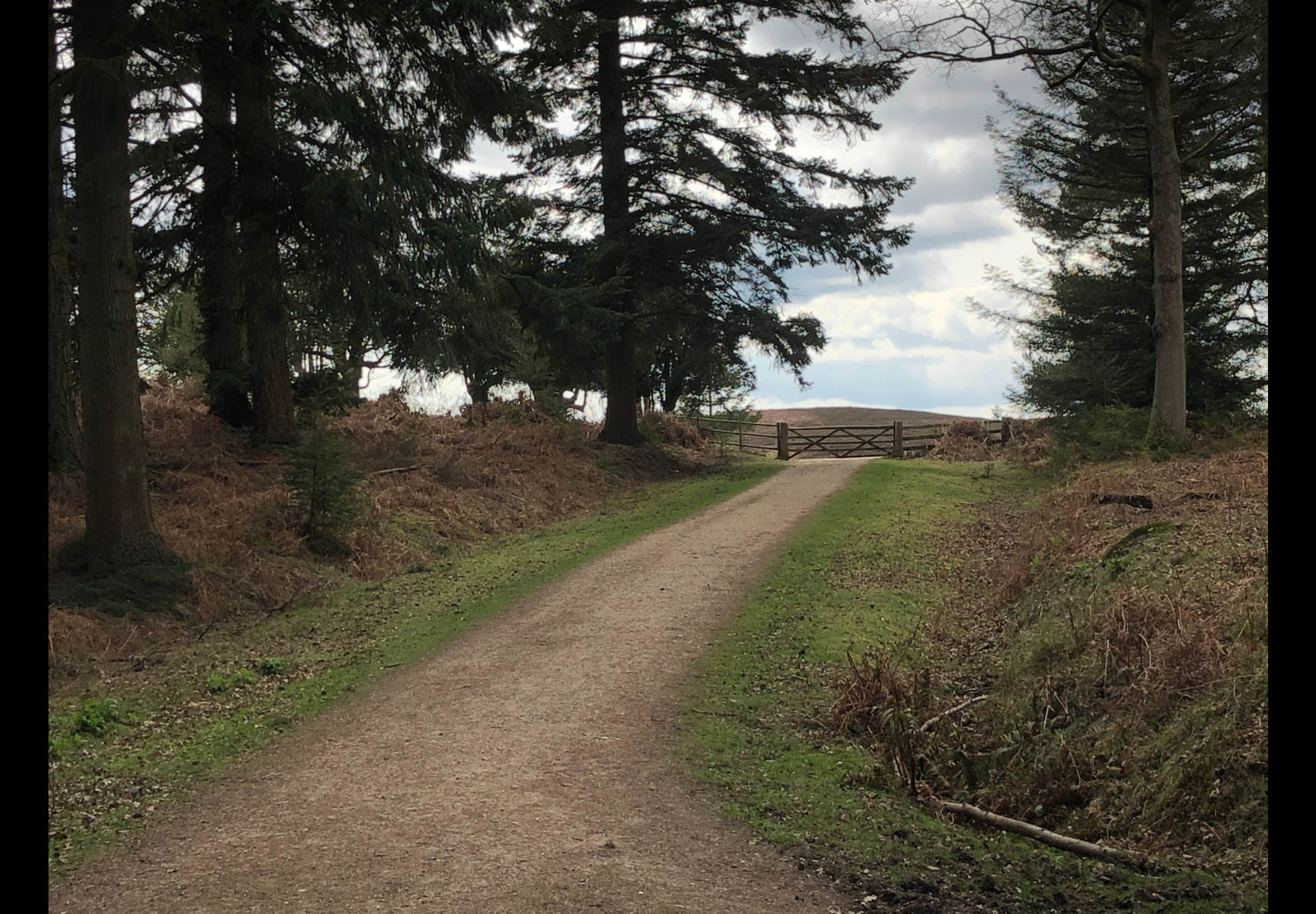 A view from the walk