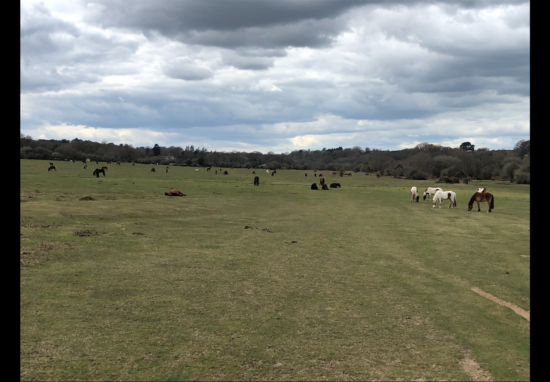 A view from the walk