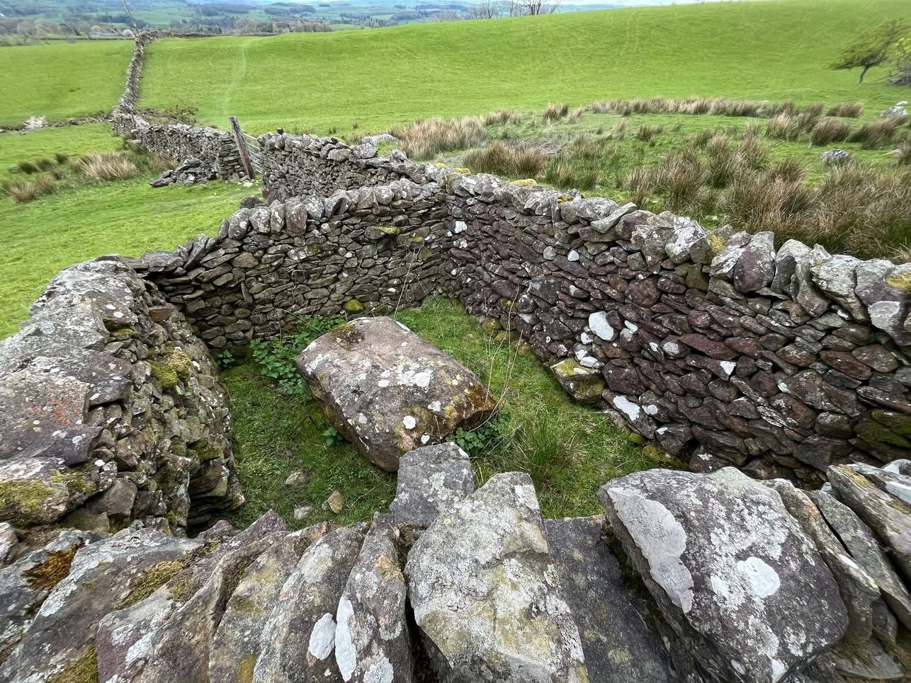 Andy Goldsworthy sheepfold
