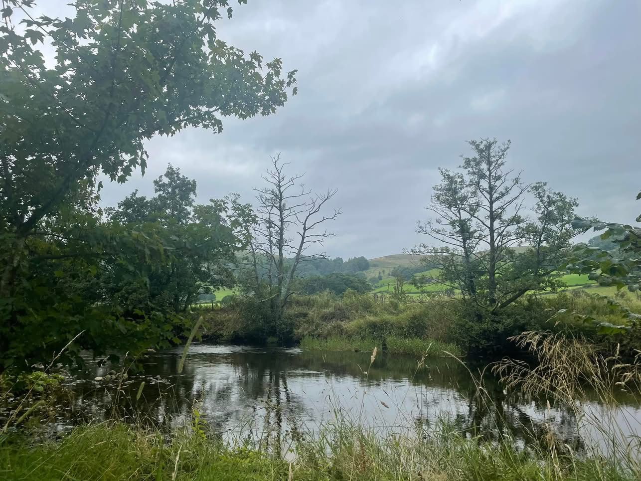 Walking by the river