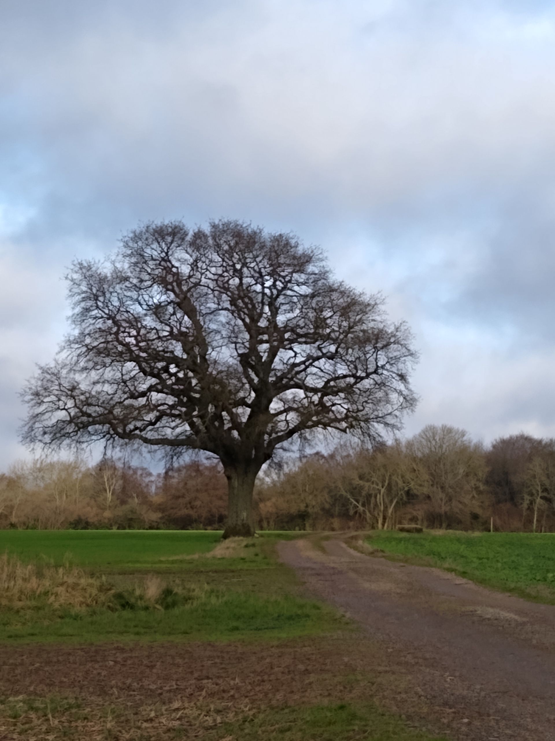 Heading north from Bryce's farm