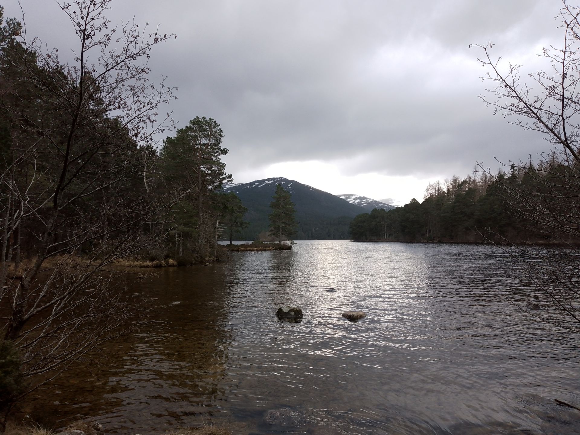 View of Loch an Eilein beach