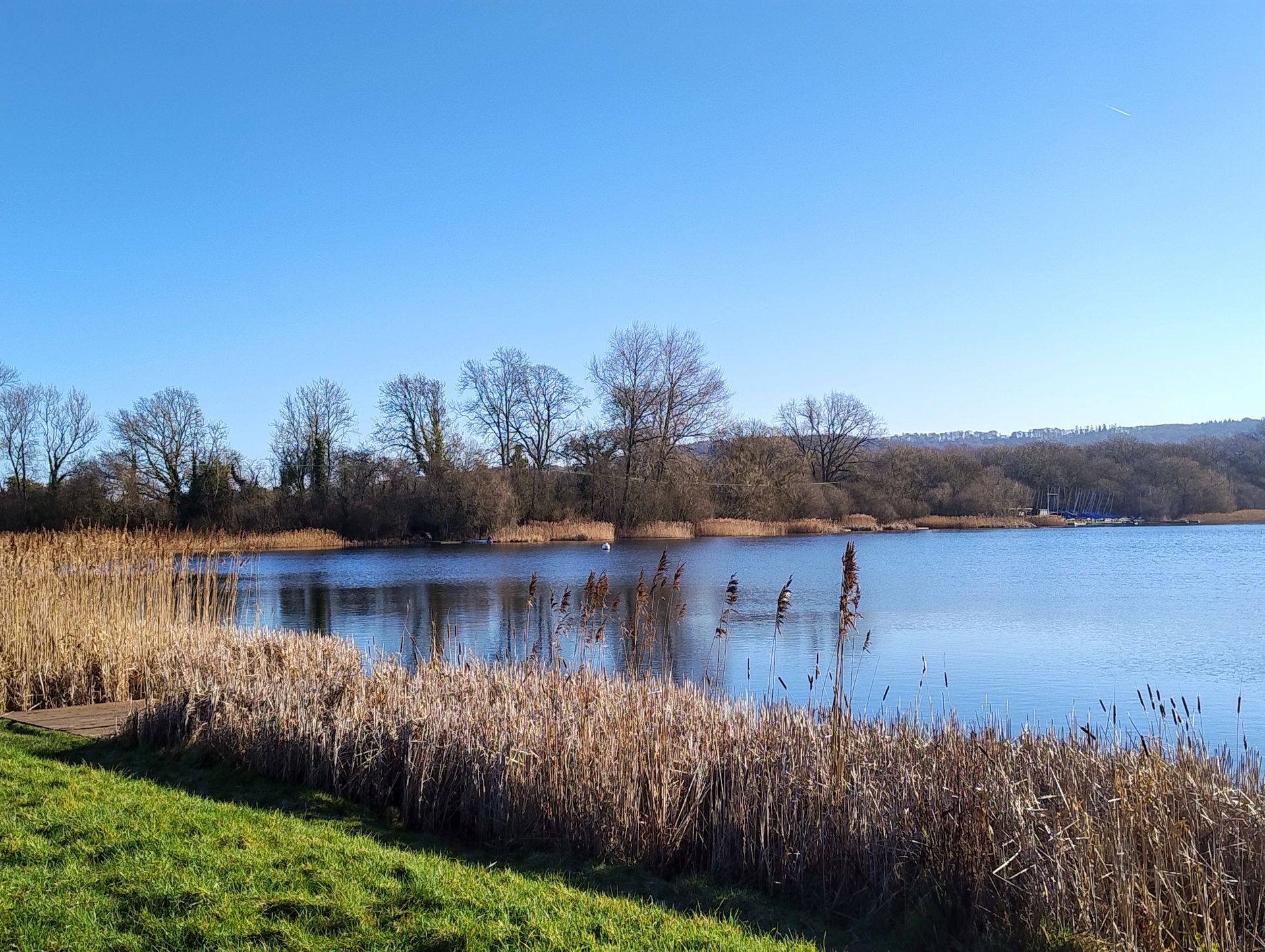 View across a tree lined boating lake on a sunny spring day