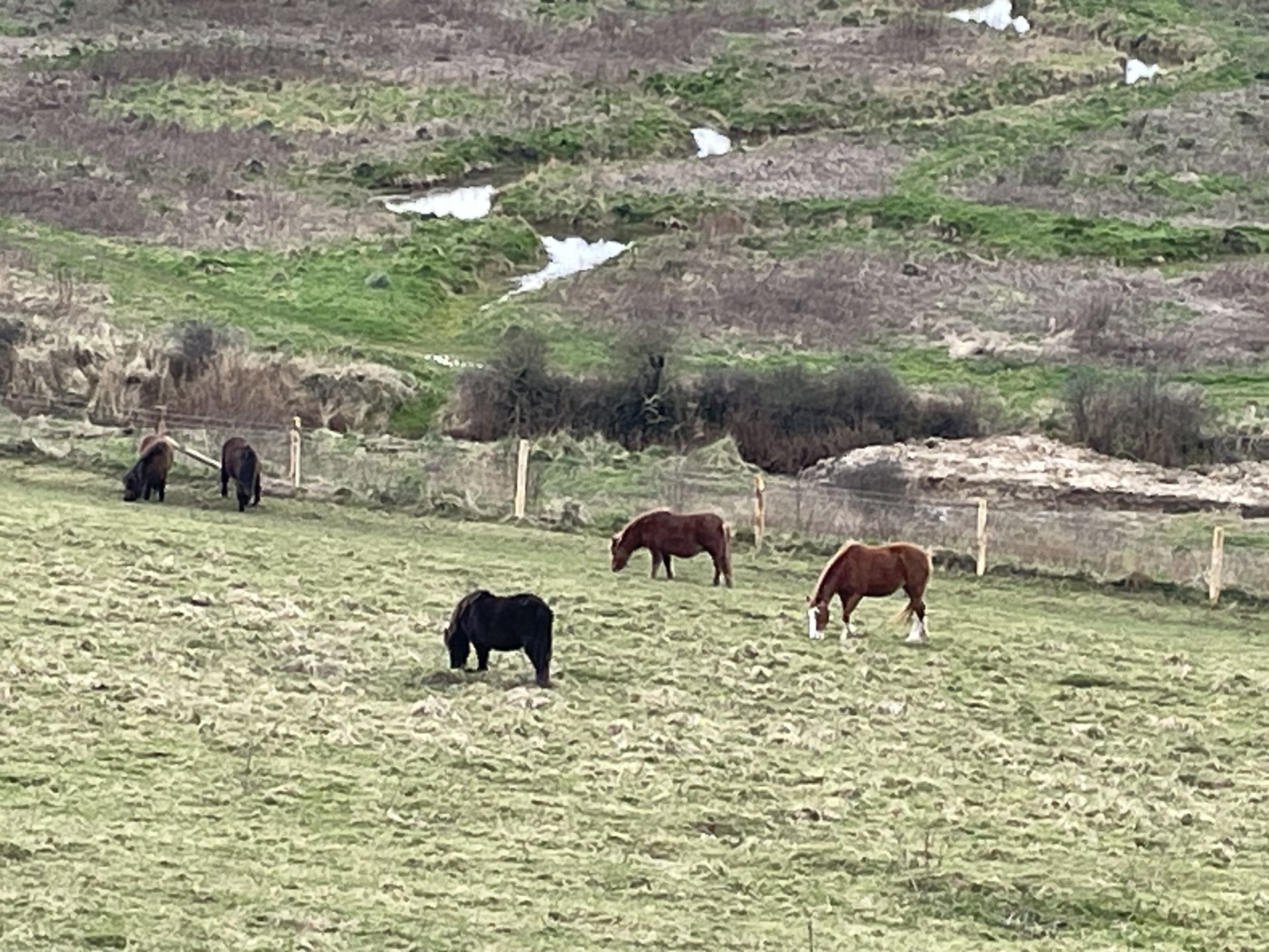 7 Sisters country park