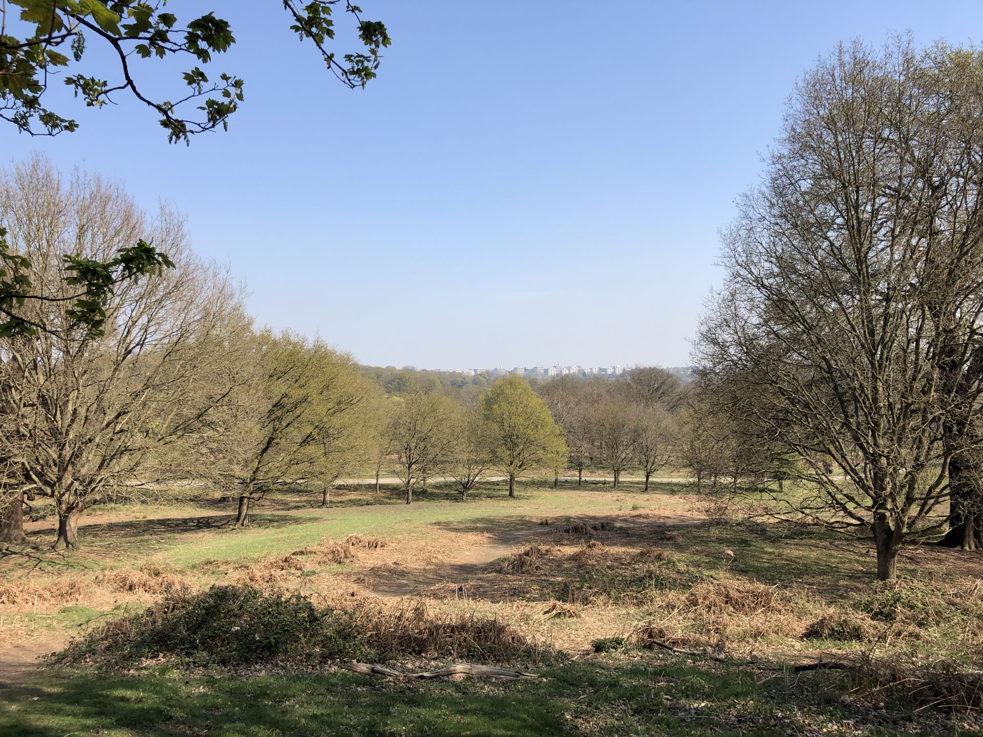 General view of Richmond Park