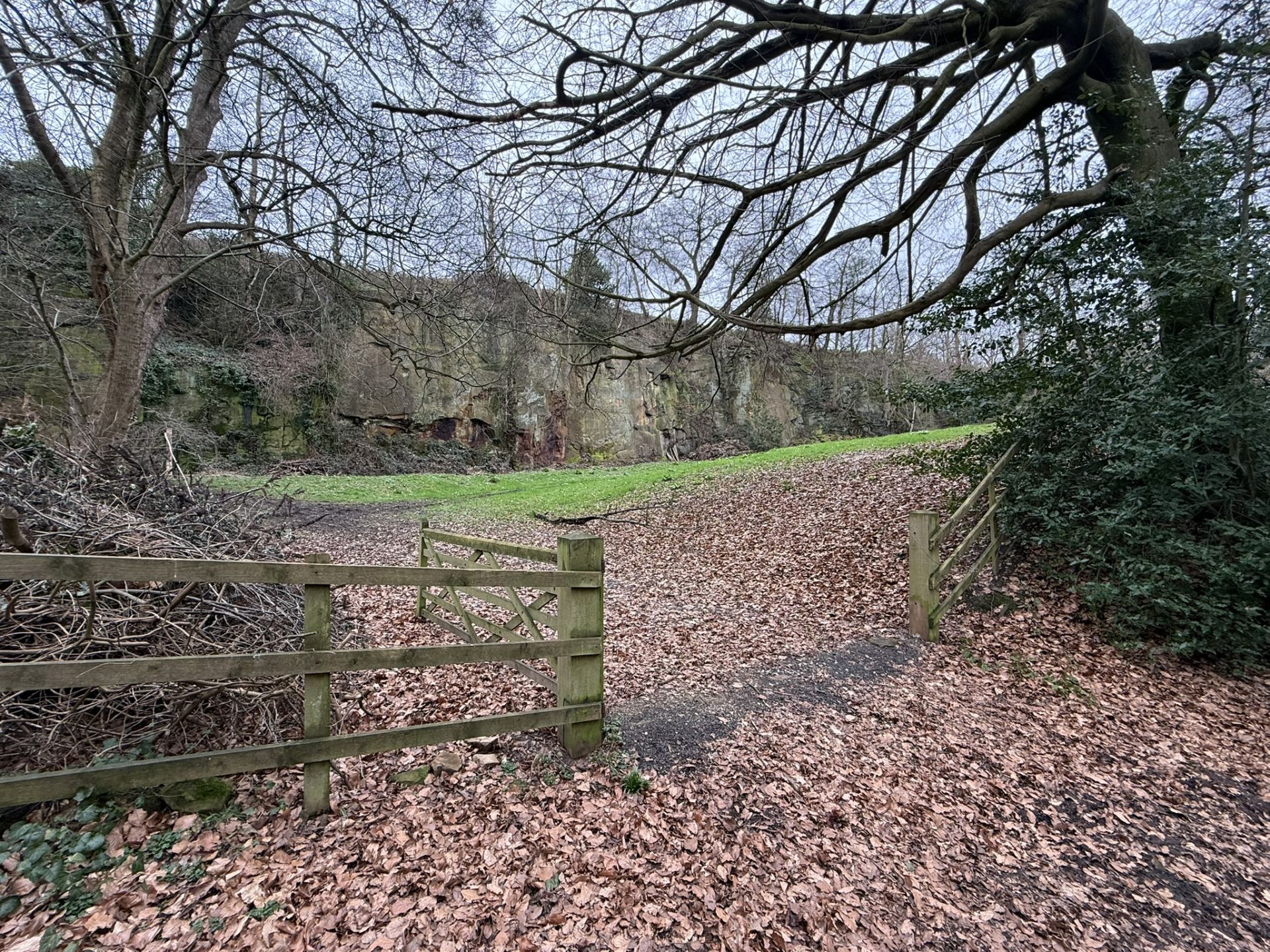 Duffield Bank Quarry