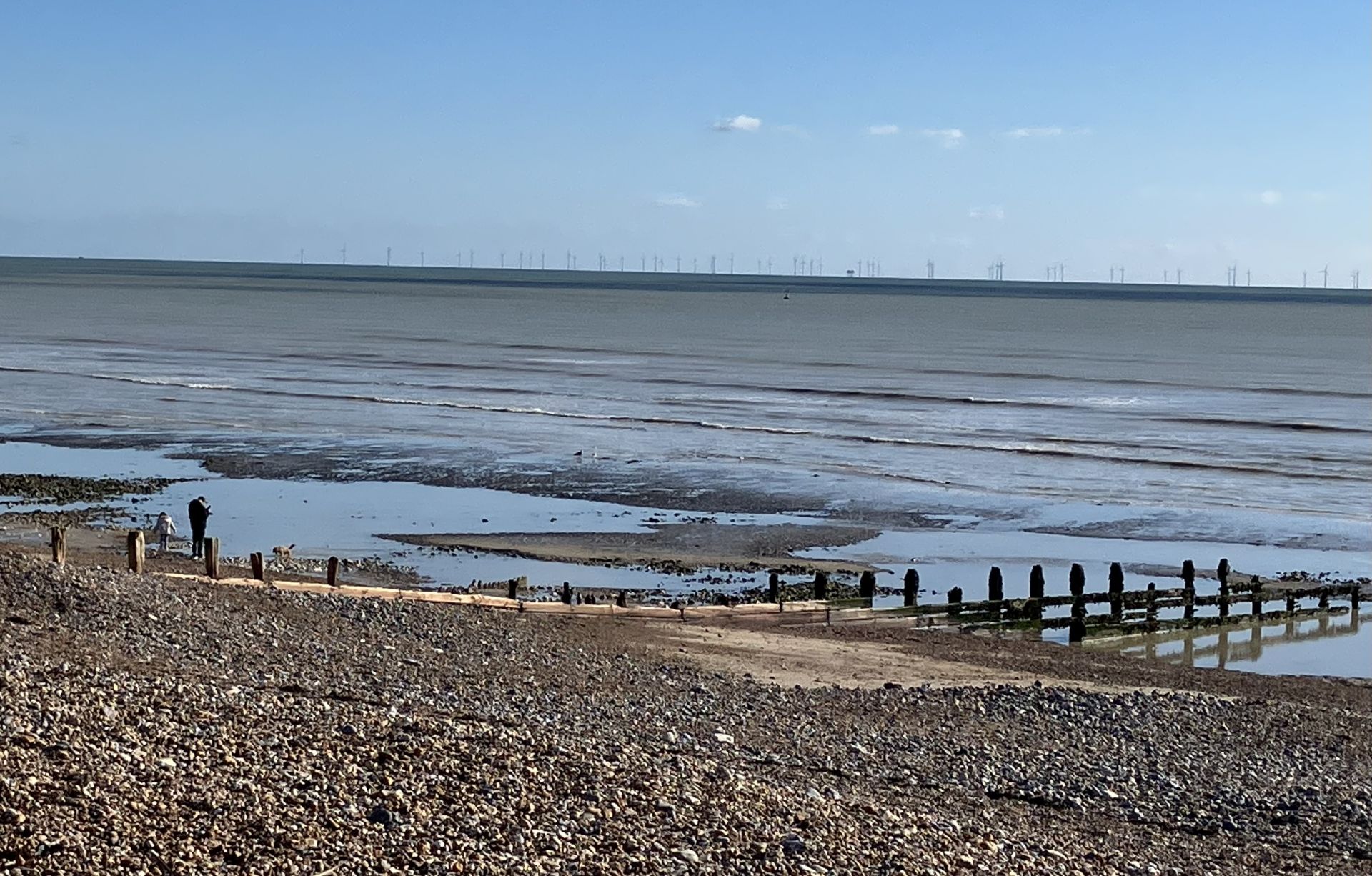 Coast to the wind farm