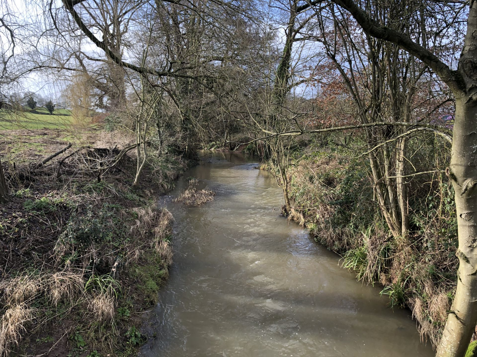 Finham Brook