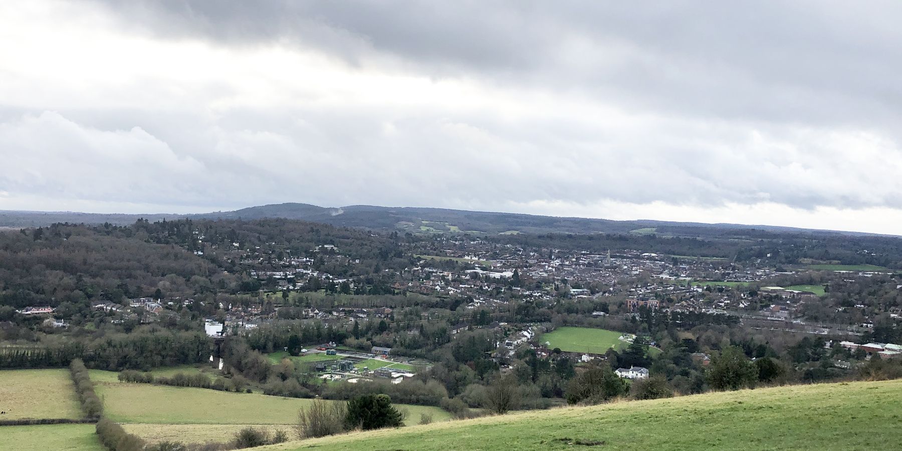 A view from Box Hill