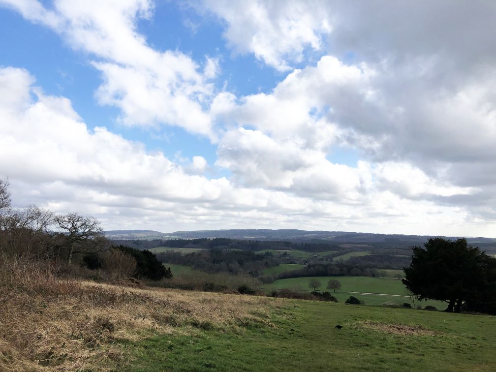 View from Newlands Corner