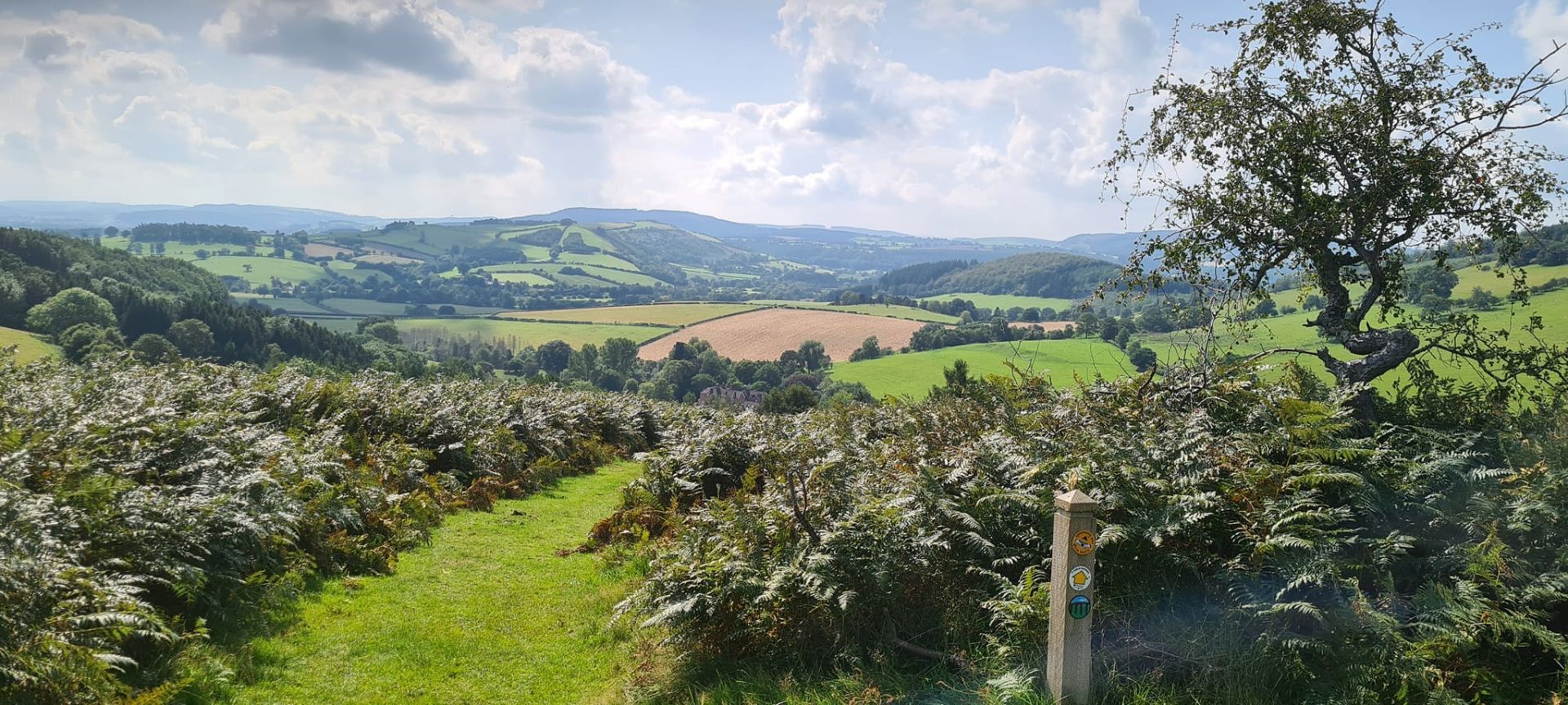 Hopesay Hill to Aston on Clun