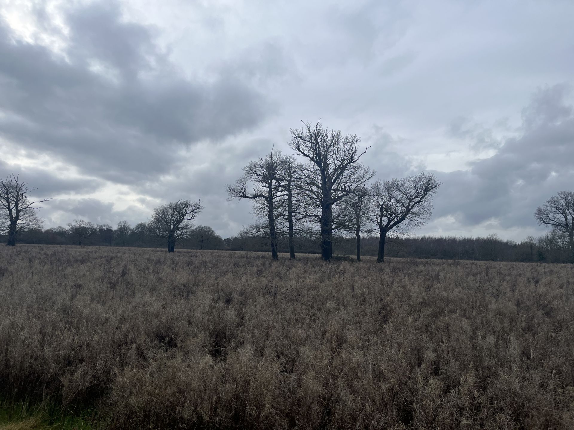 Moody skies in Essex