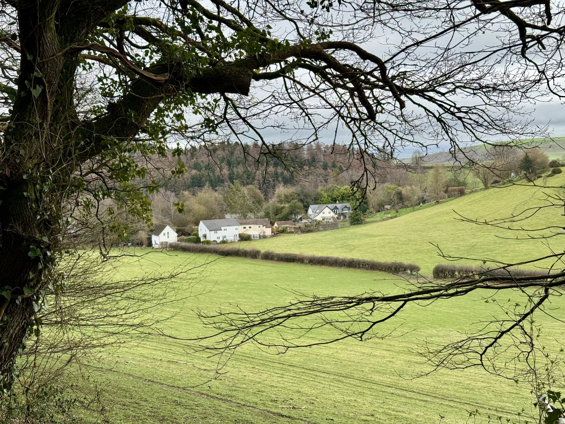 Longbridge Deverill from Foxholes