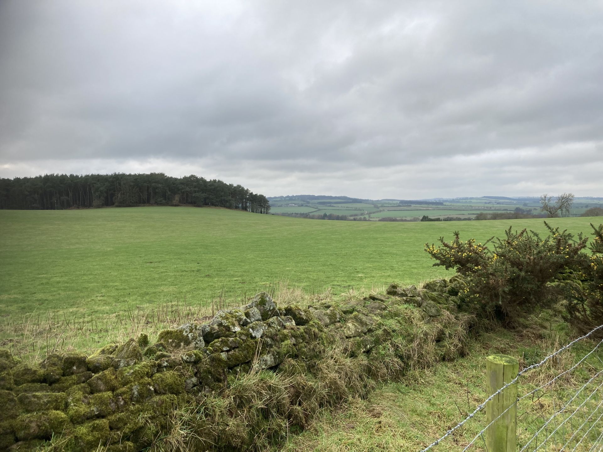 view across fields