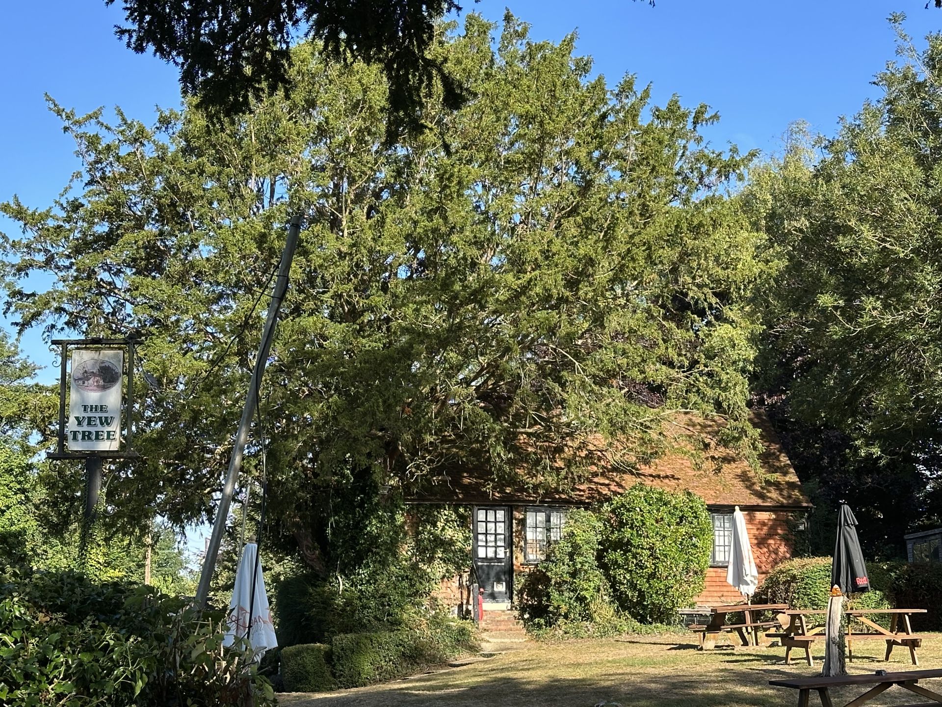 The Yew Tree Pub in Summer