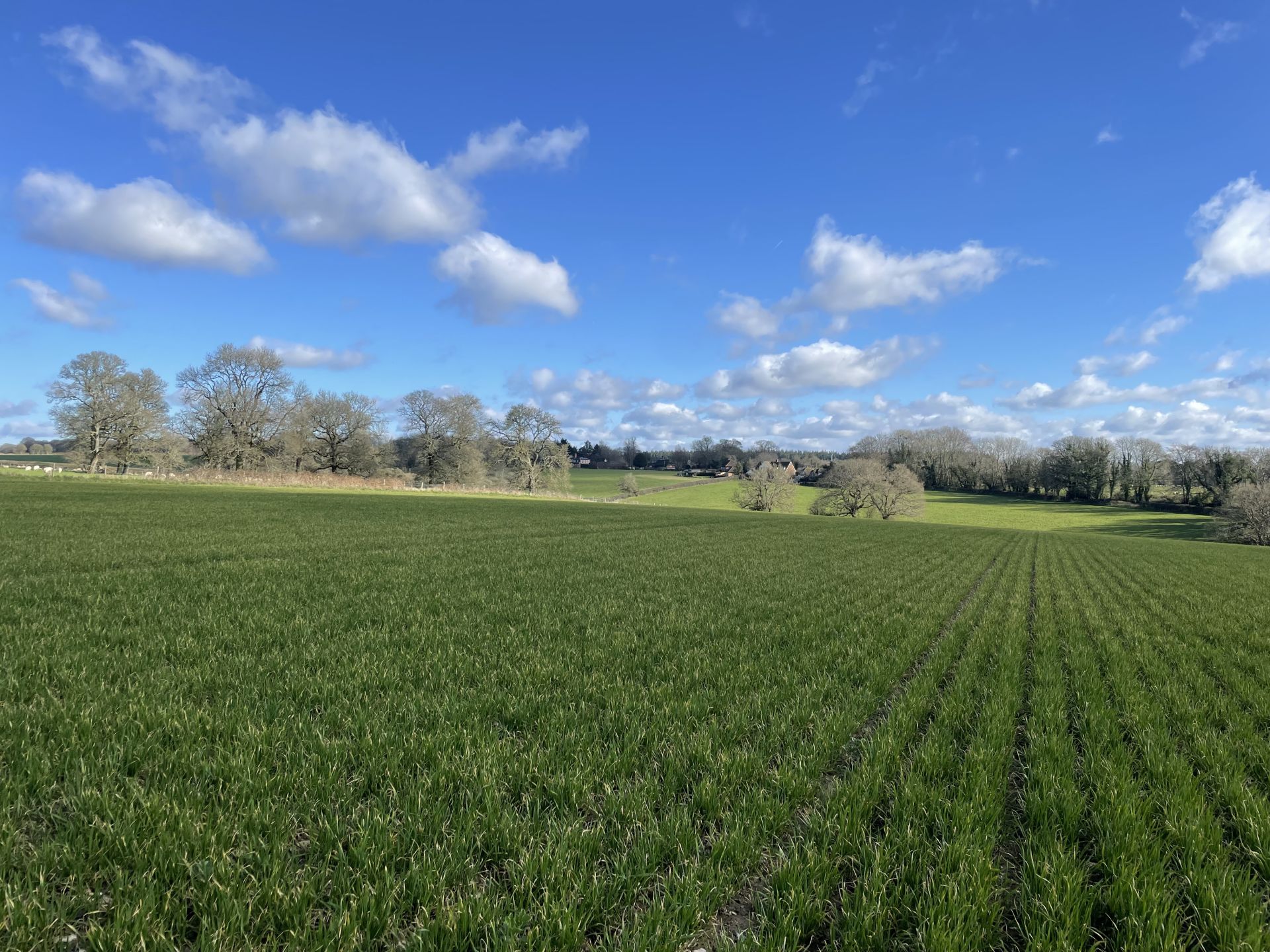 View from Ellisfield