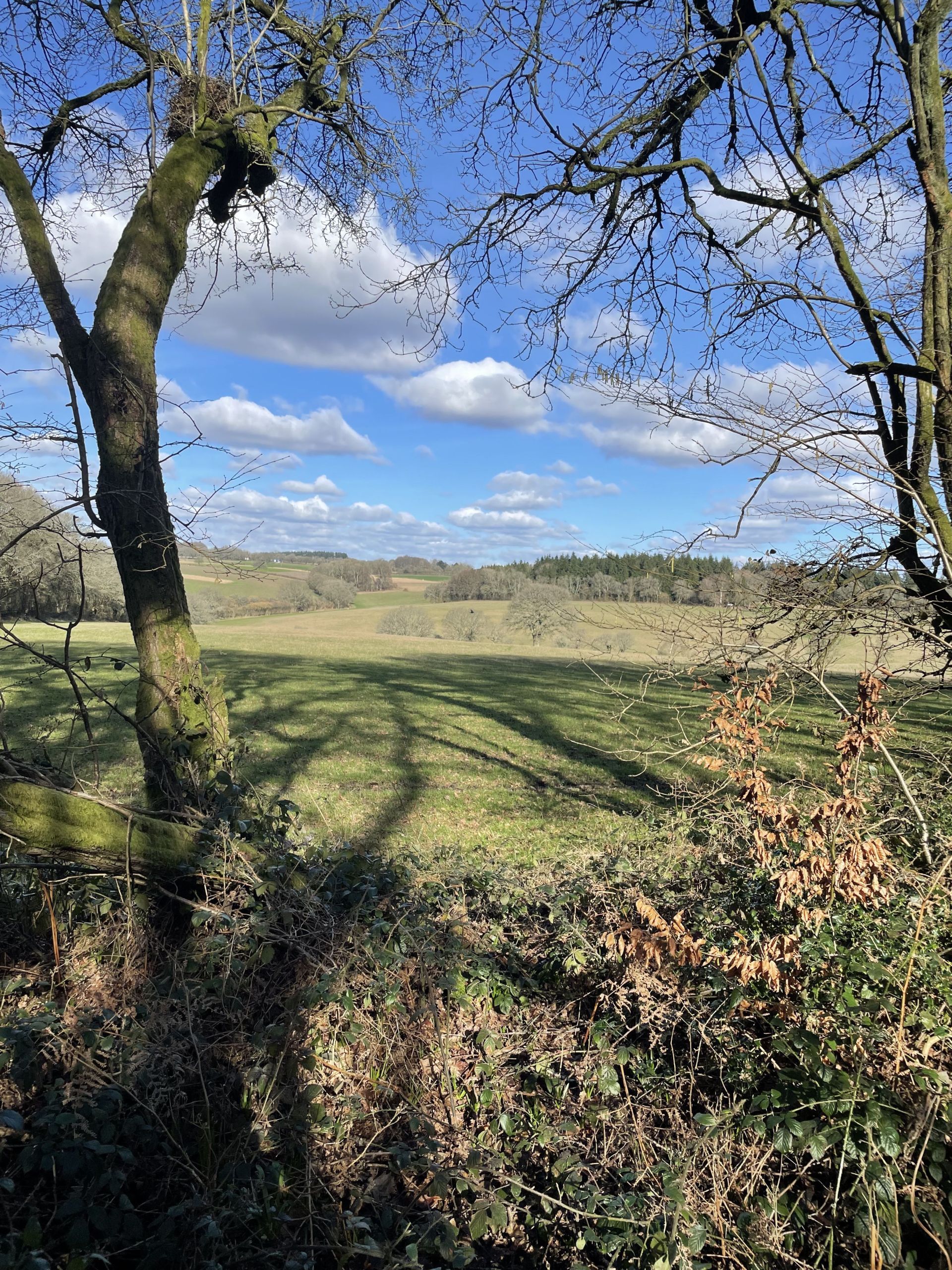 View from Spain Lane