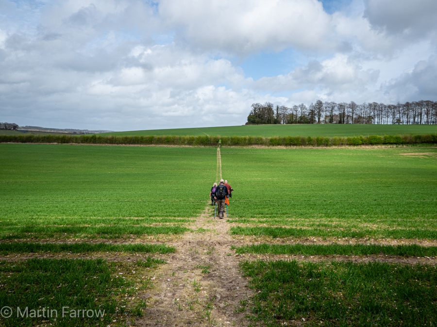 view over fields and sky