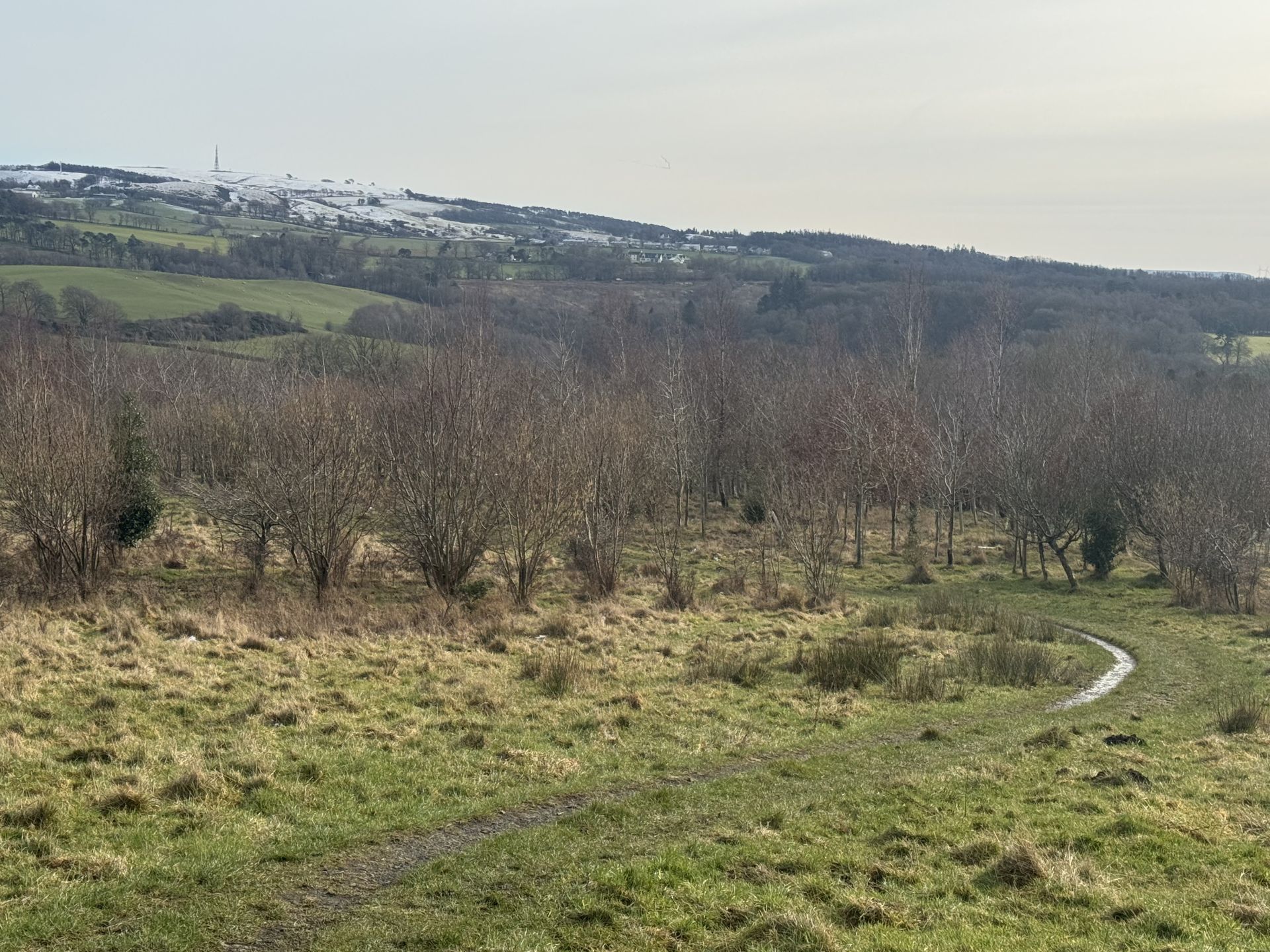 View of Muiravonside