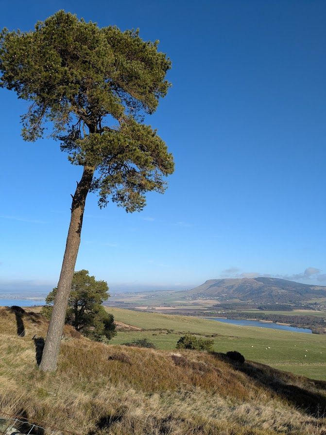 Bishop Hill from Benarty Hill