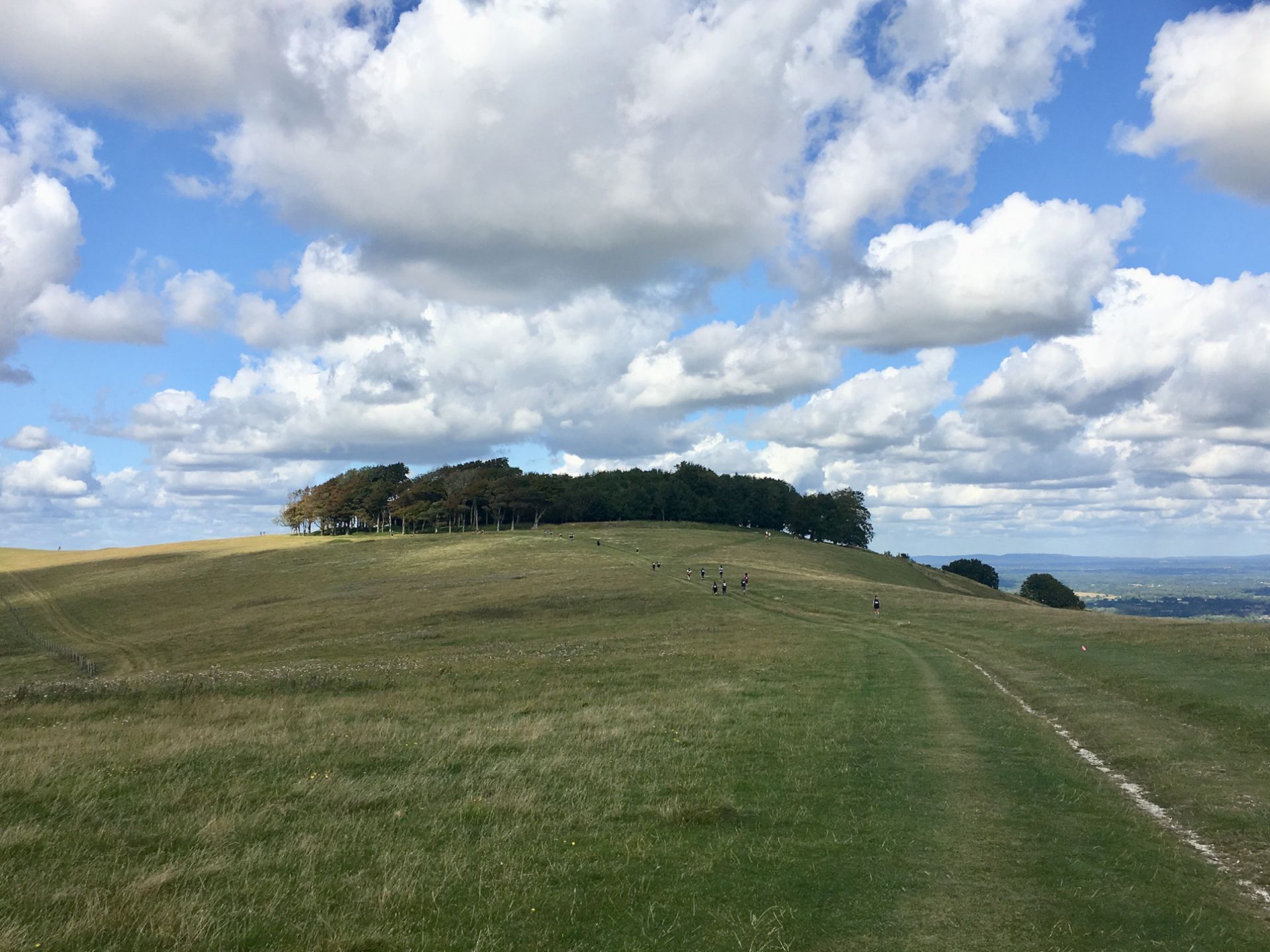 Chanctonbury Ring, a hill fort topped with beech trees