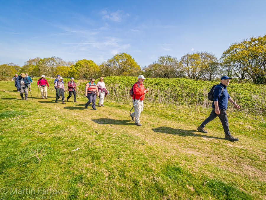 ramblers walking in spring sunshine