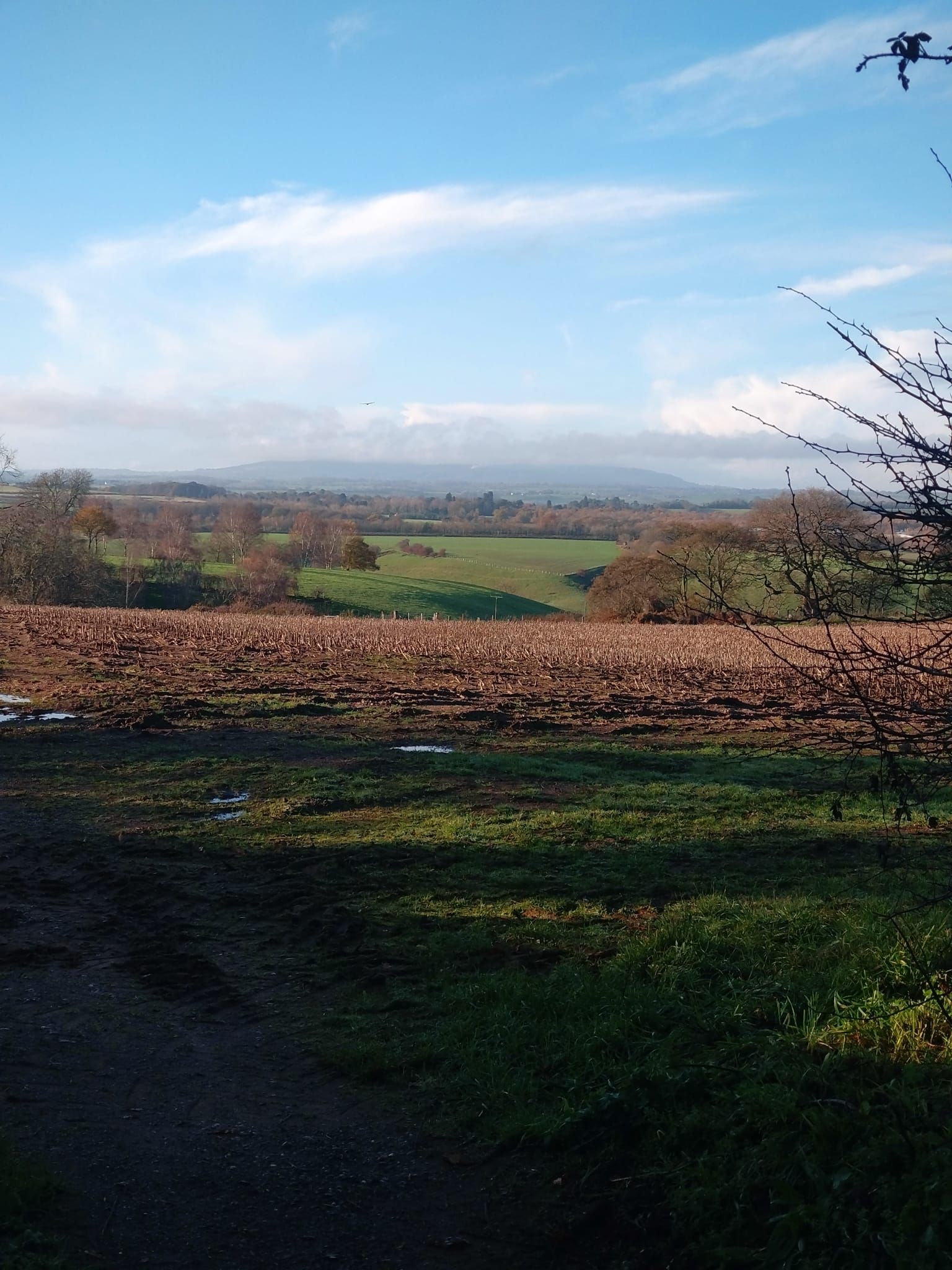 View from Abbotts Castle Hill