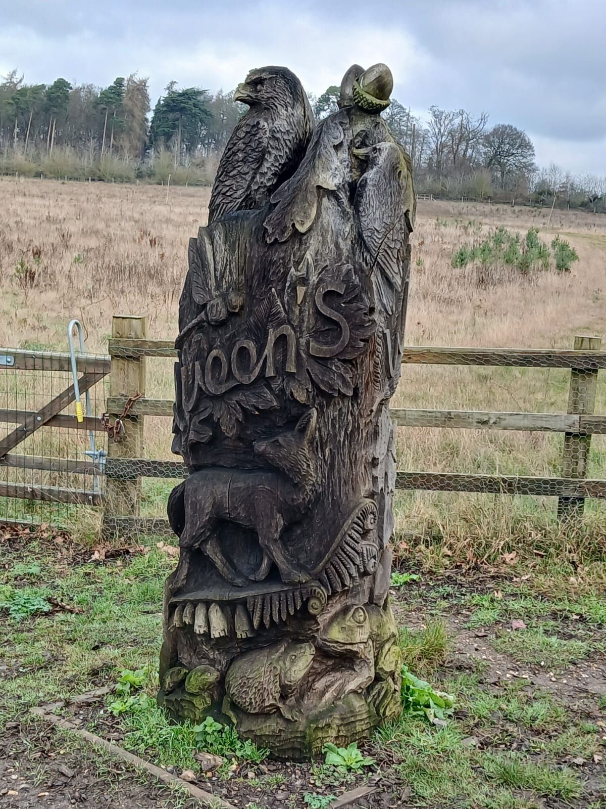 Tree carving