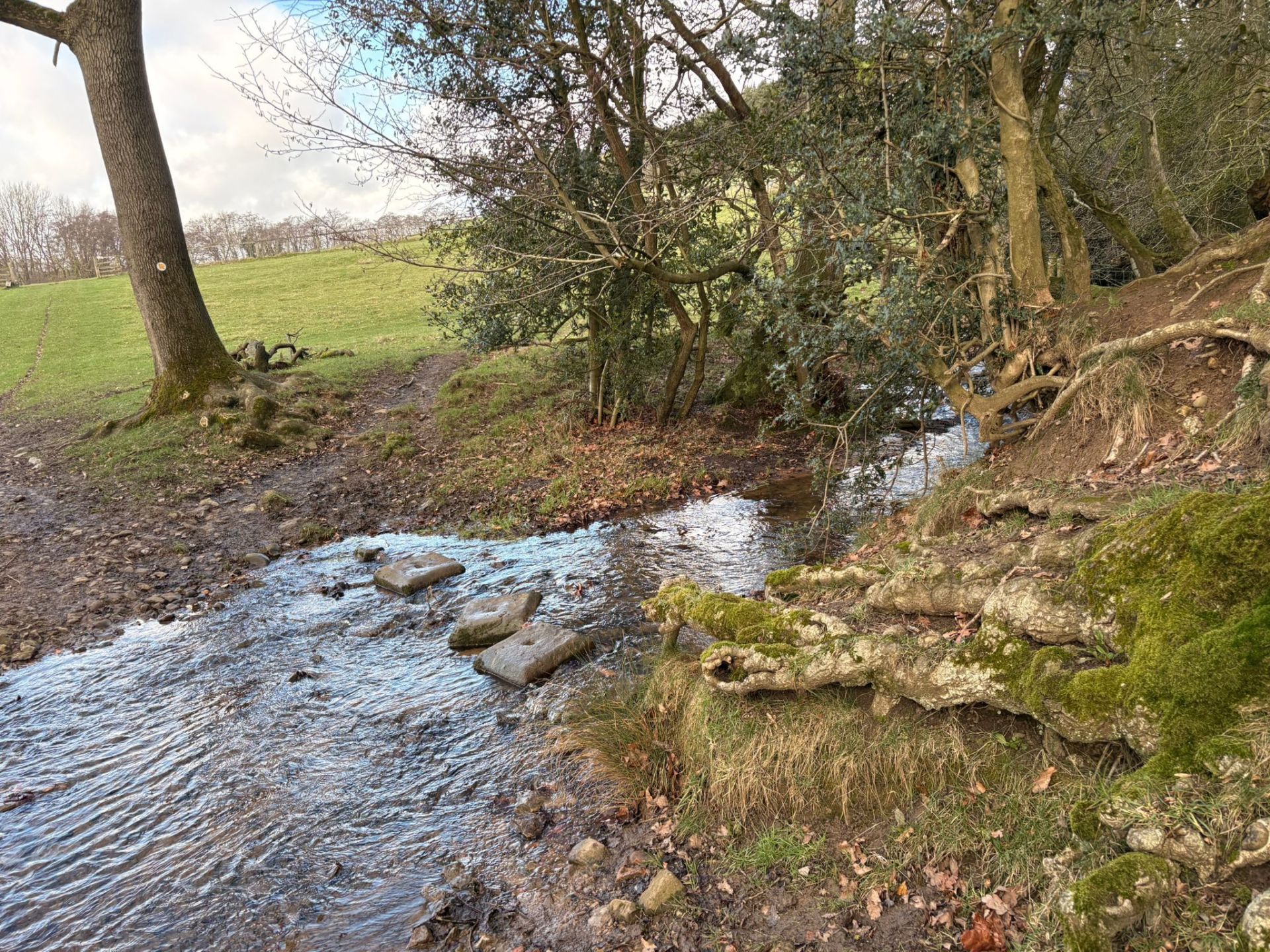 Rough stepping stones over a stream