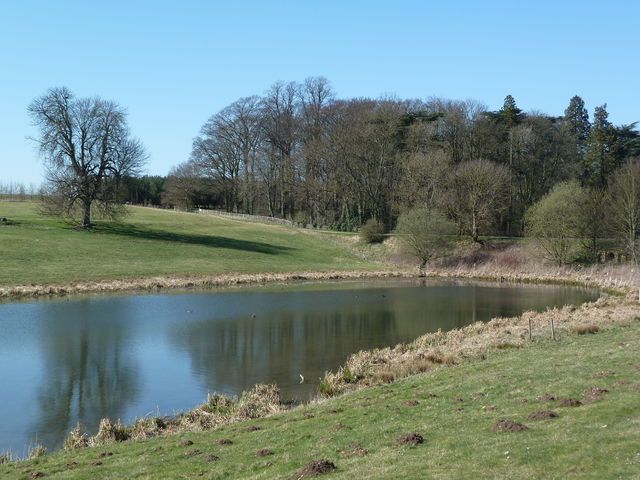 A pond