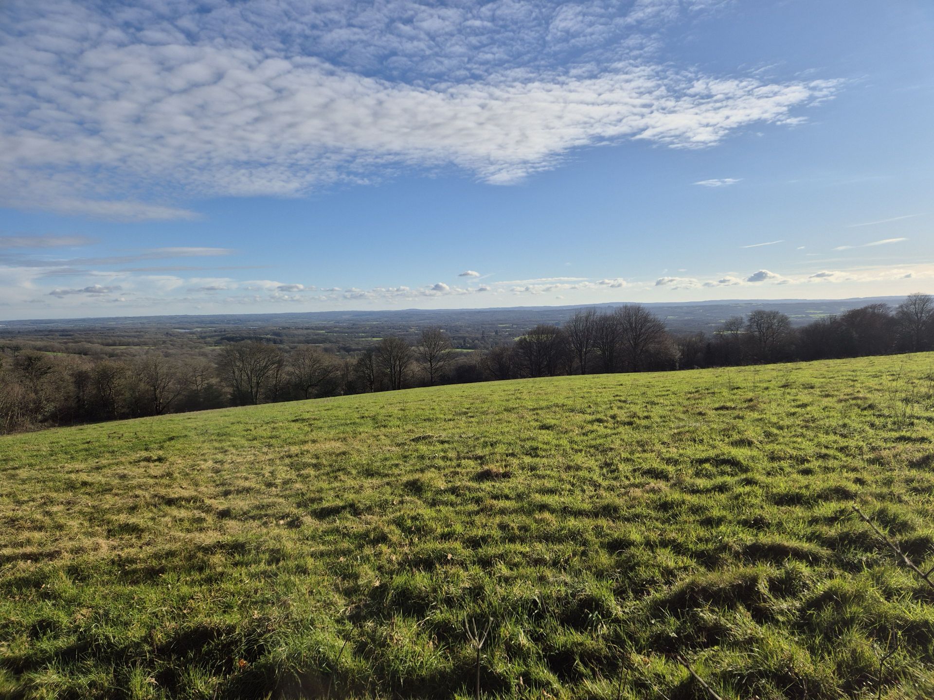The view from Mariners Hill looking south to Ashdown Forest